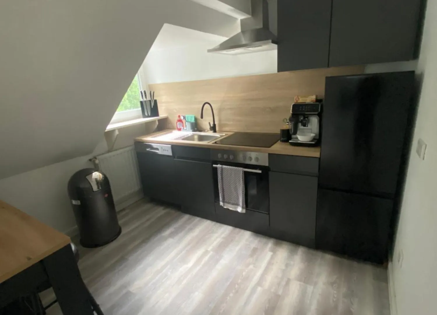 Schoene Wohnung Am Phoenix See Dortmund